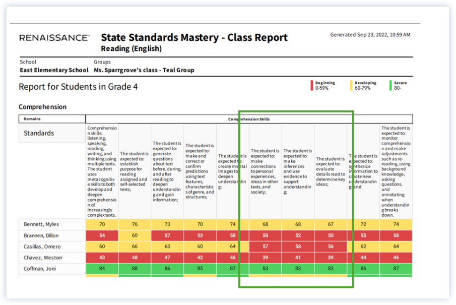 Reinessance_State Standards Mastery Report.png